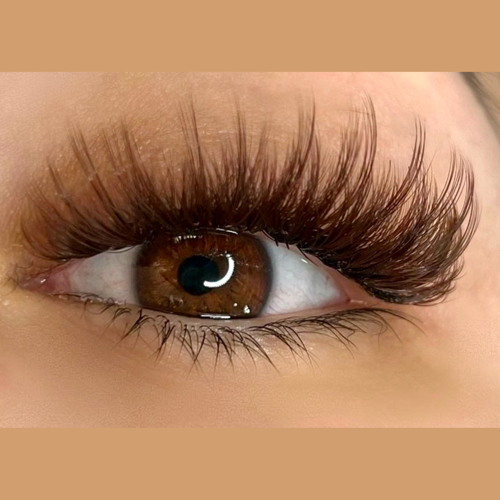 Brown Eyelash Extension Set at Be Gorgeous Studio